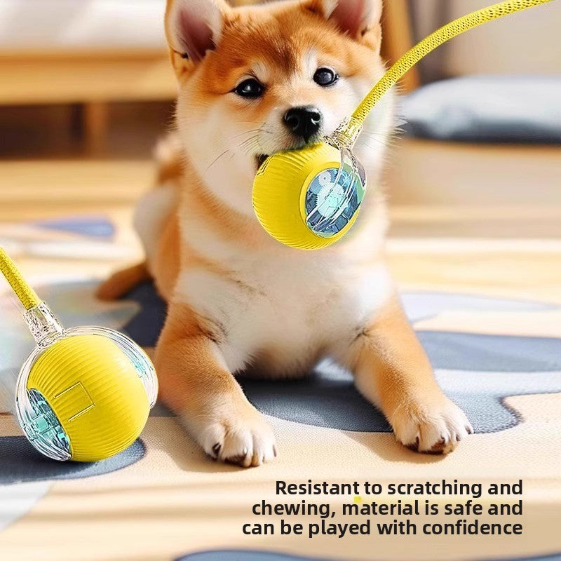 Intelligent Automatic Dog Toy Ball