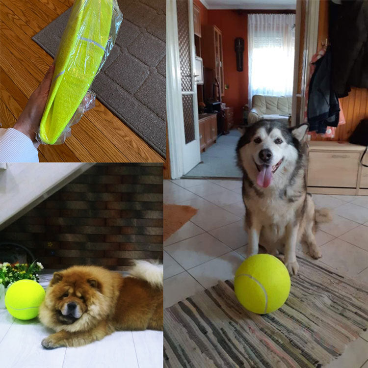 Pet inflatable tennis toys