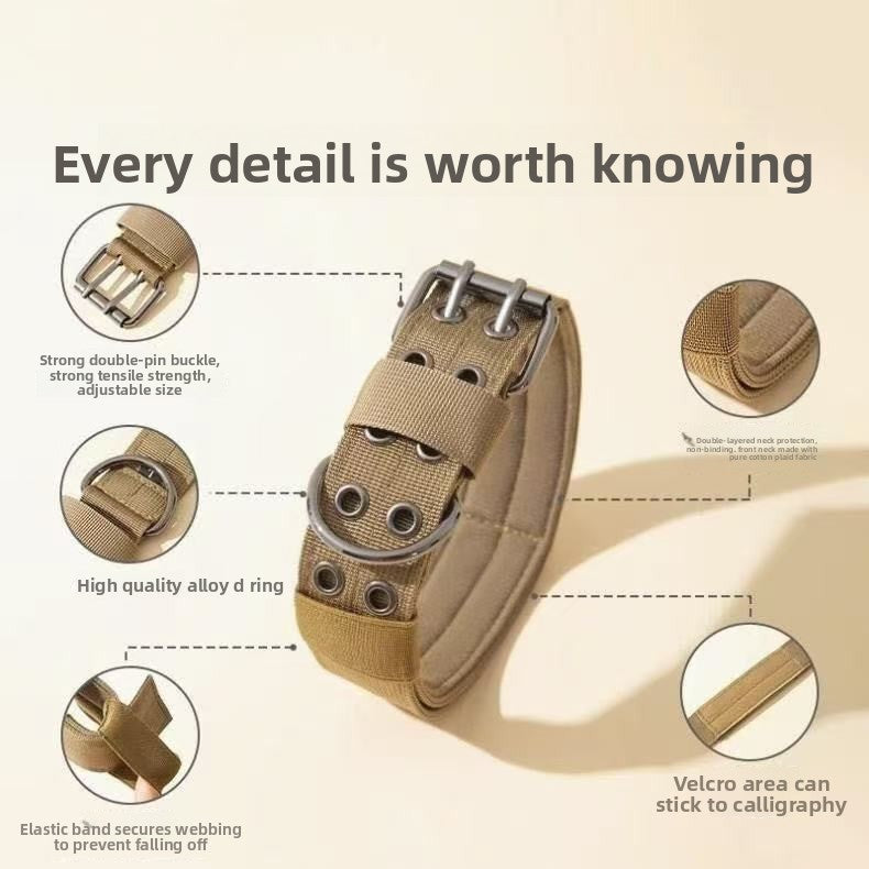 Adjustable Dog Collar with Leash for Medium Large Breeds