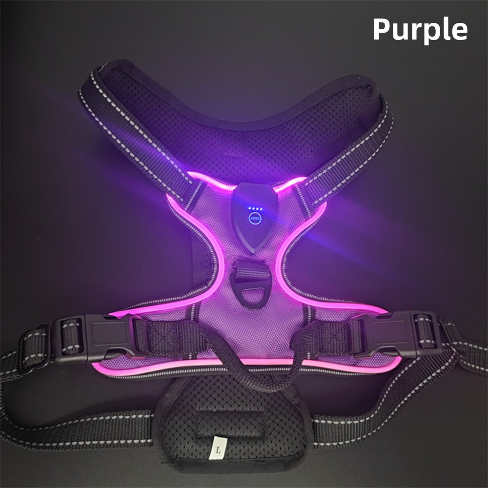 USB Rechargeable LED Light Up Dog Harness Leash