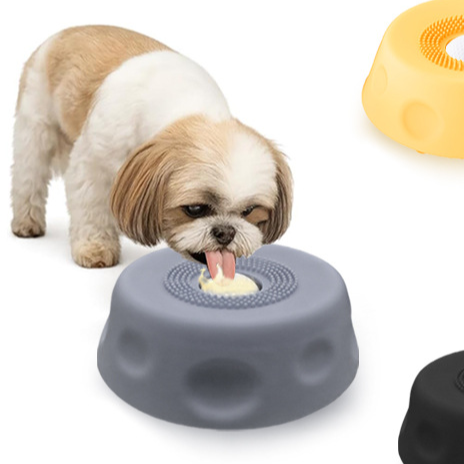 Slow Feeder Pet Bowl — Anti-Choke Silicone Food Bowl