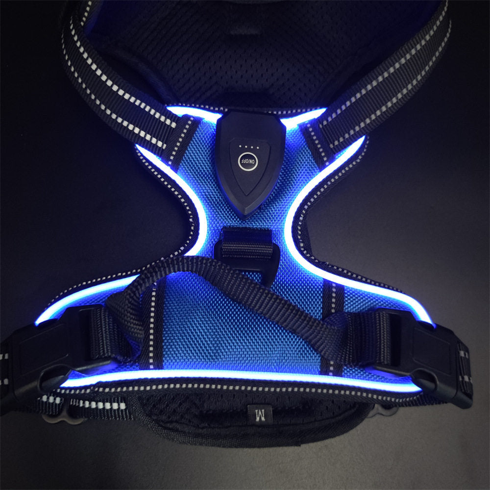USB Rechargeable LED Light Up Dog Harness Leash