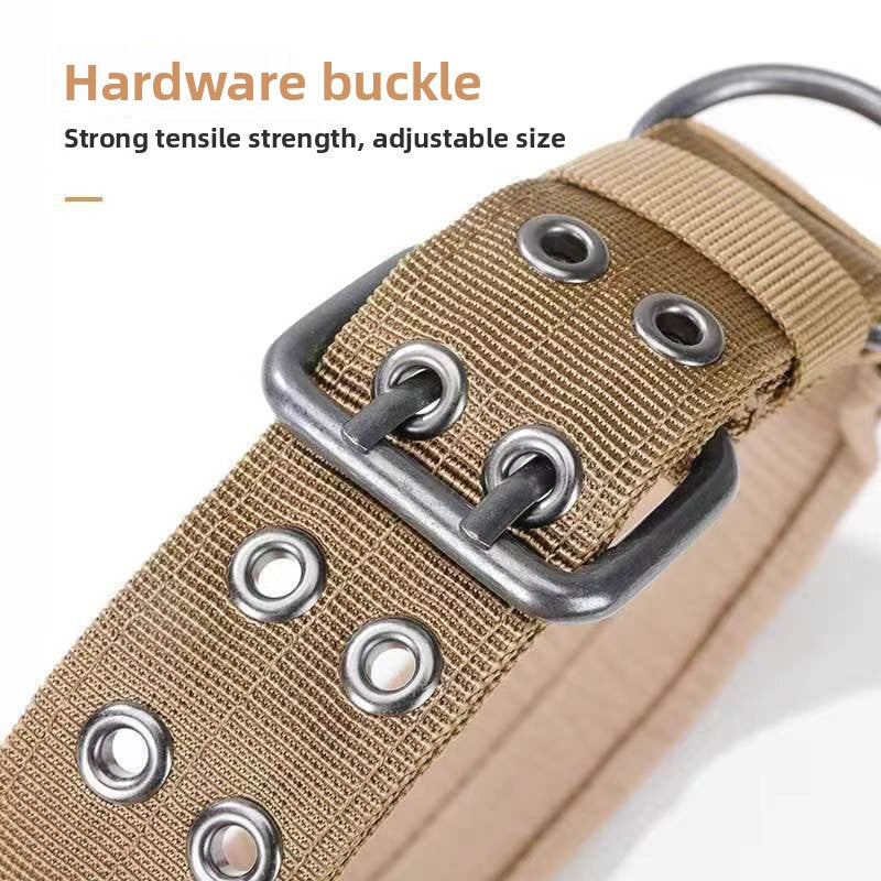Adjustable Dog Collar with Leash for Medium Large Breeds