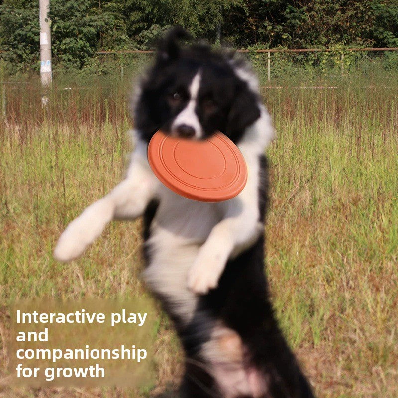 Soft Silicone Pet Frisbee Dog Toy