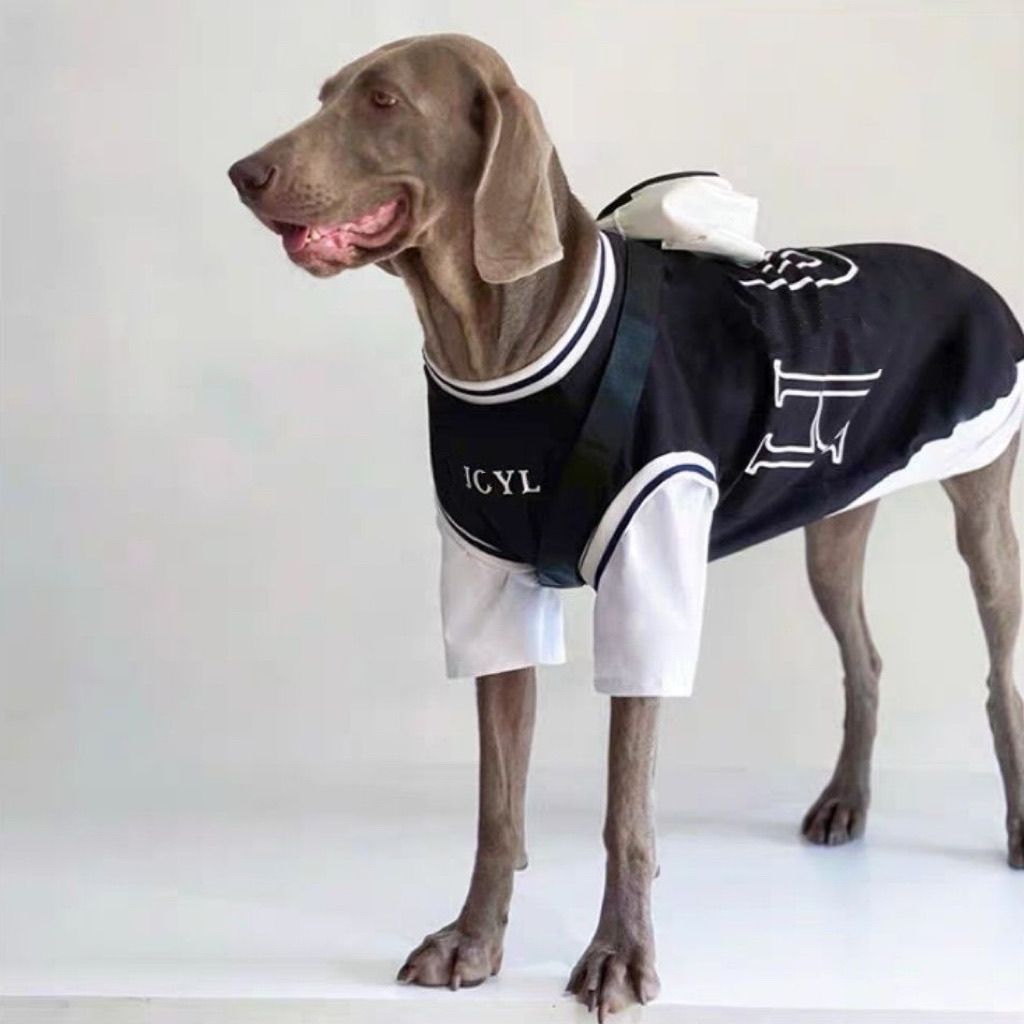 Dog Summer Two Piece Outfit