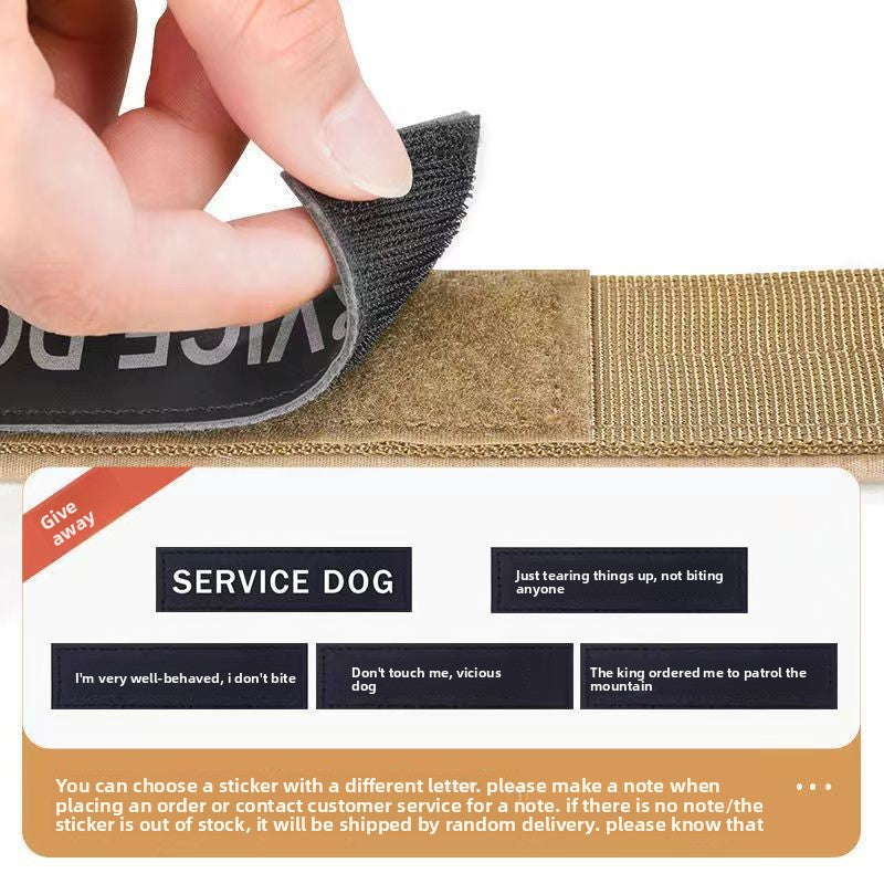 Adjustable Dog Collar with Leash for Medium Large Breeds