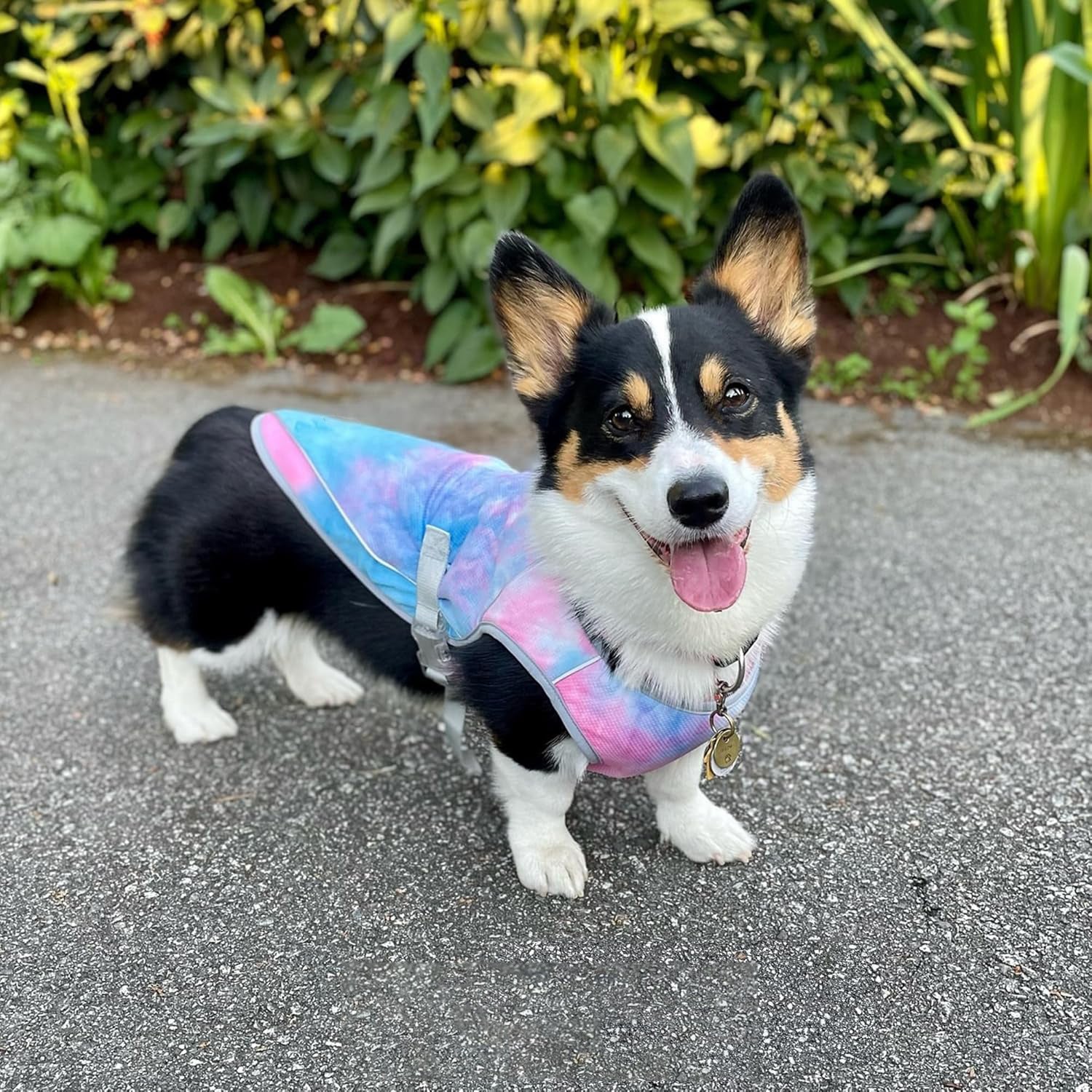 Dog Cooling Vest UV Protection Breathable