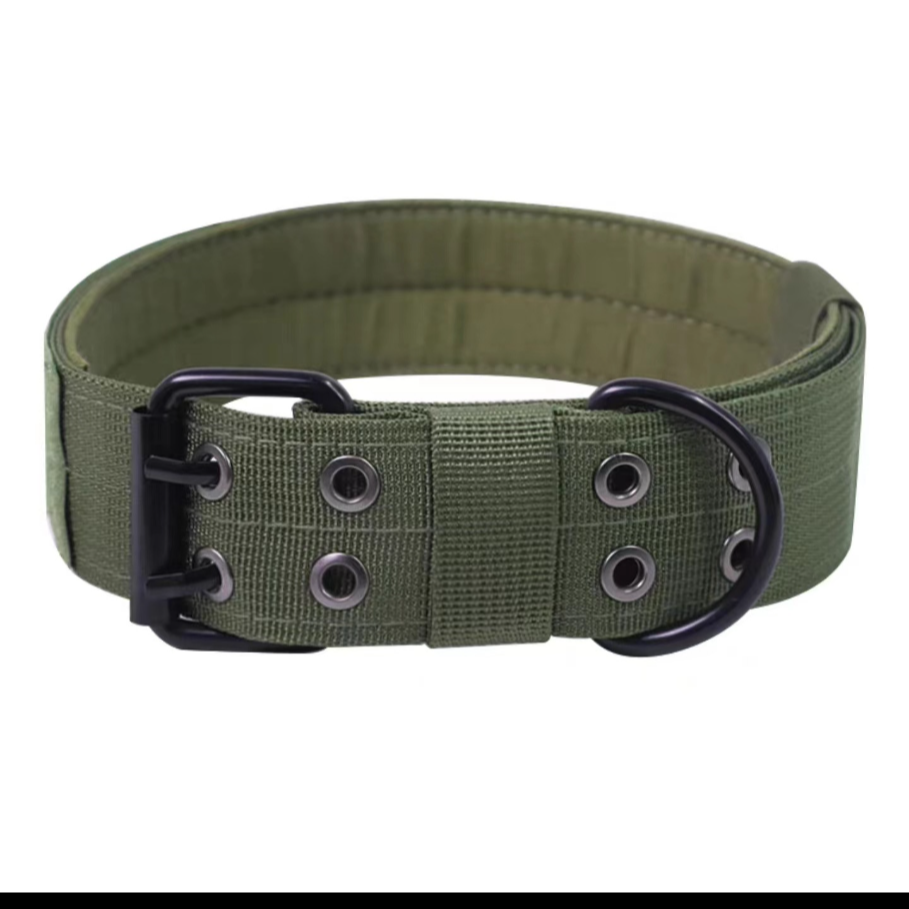 Adjustable Dog Collar with Leash for Medium Large Breeds