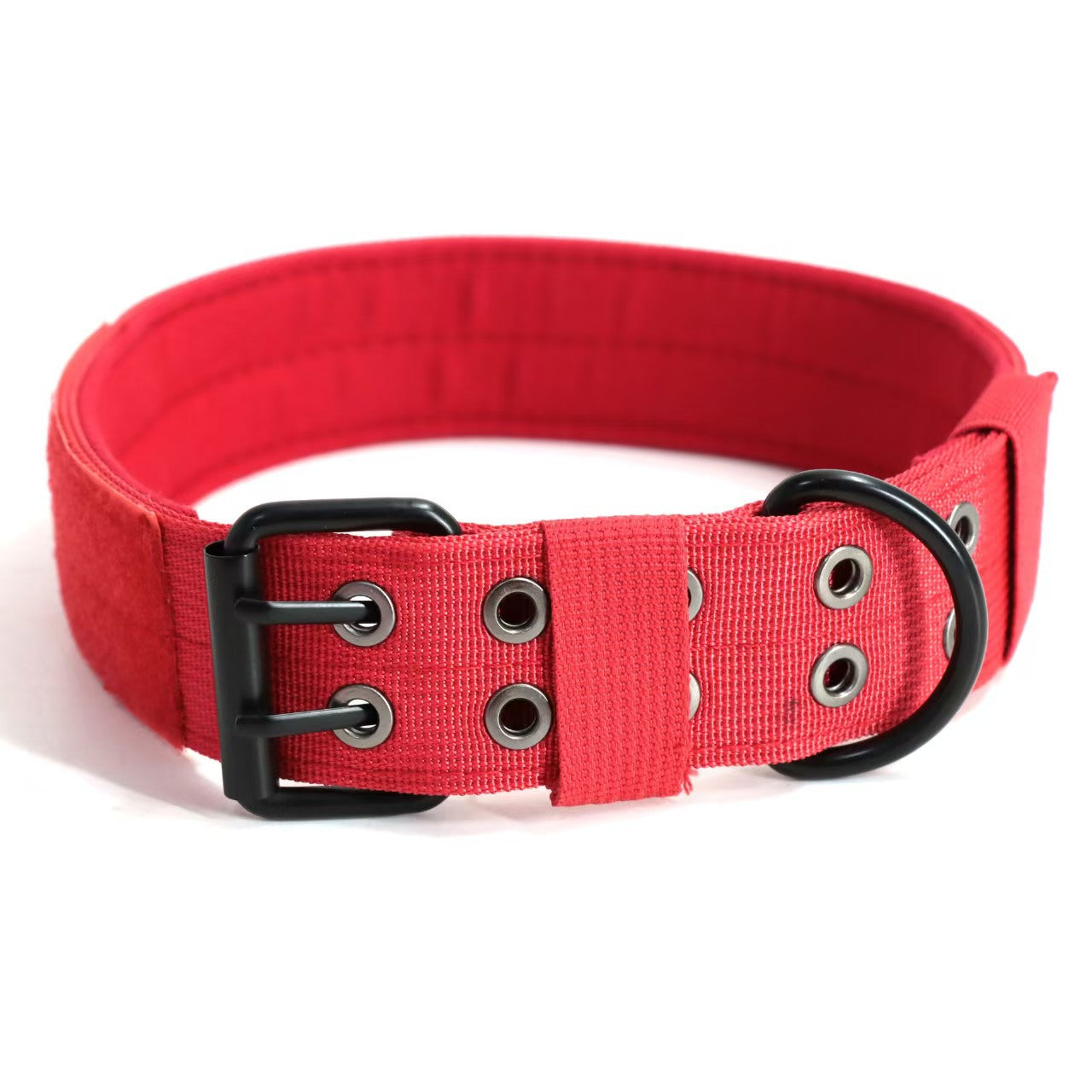Adjustable Dog Collar with Leash for Medium Large Breeds