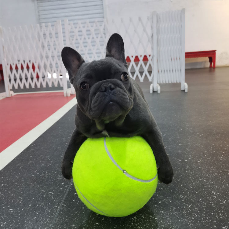 Pet inflatable tennis toys