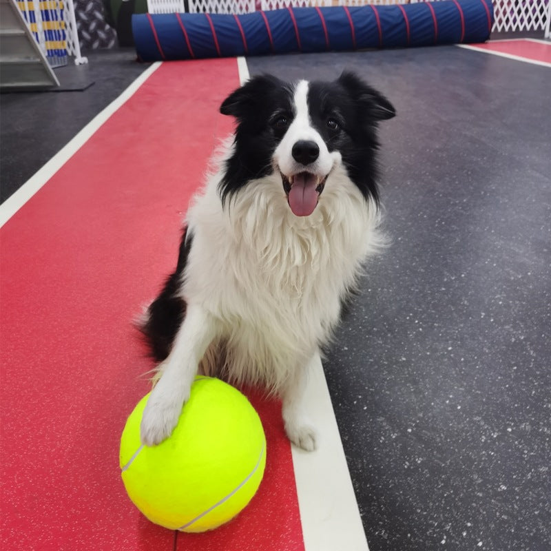 Pet inflatable tennis toys