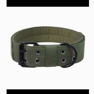 Adjustable Dog Collar with Leash for Medium Large Breeds