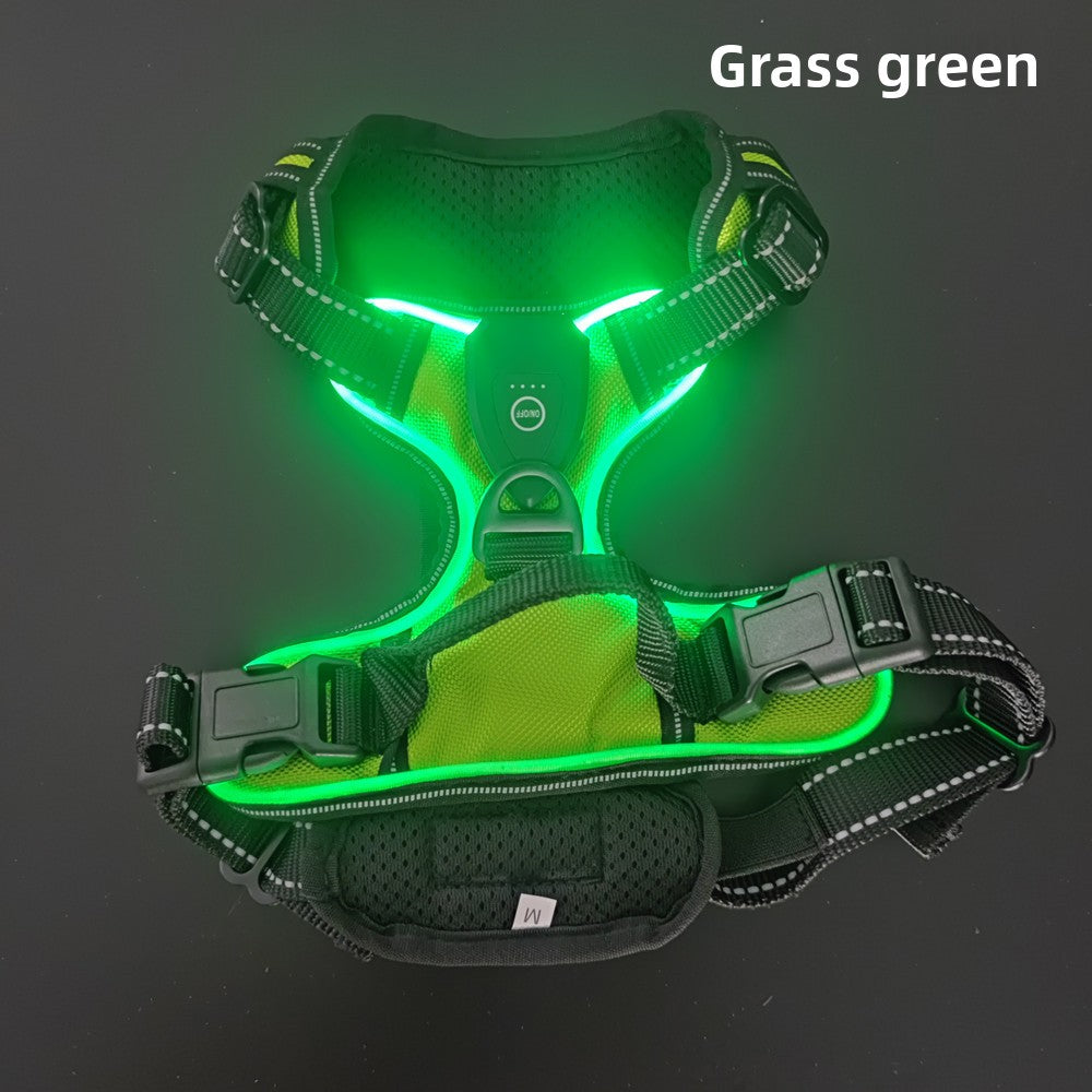 USB Rechargeable LED Light Up Dog Harness Leash