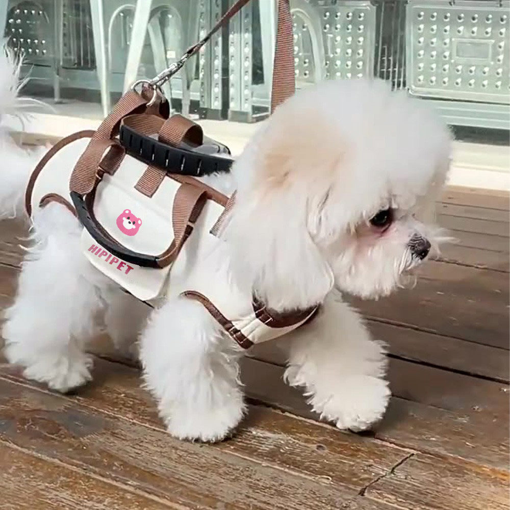 Portable Pet Travel Backpack with Leash